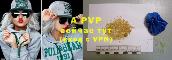 таблы Бородино