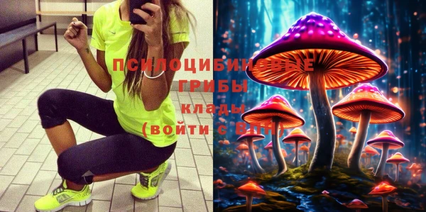 прущая мука Бронницы