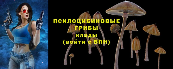 шишки Бугульма