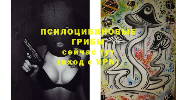 шишки Бугульма