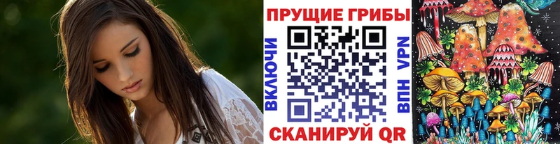 закладки  Ветлуга  Галлюциногенные грибы мицелий 